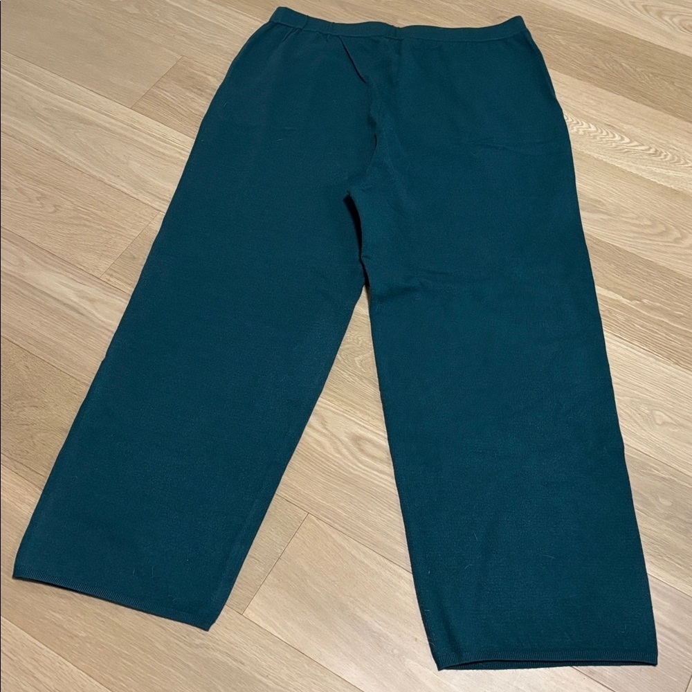 WYNNE LAYERS (1X) Sweater Knit Wide-Leg Pants Pockets Pull-On Soft Dark Teal NEW - Picture 8 of 12